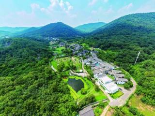 老山“不老”，以绿生“金”写传奇