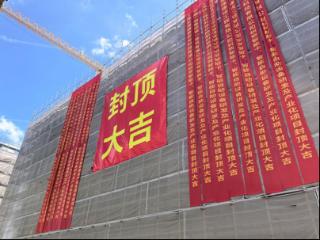 关键突破！上海闵行东港印刷智能设备研发厂房项目全面封顶