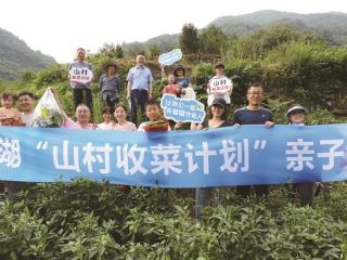 杭城一批亲子家庭 周末驱车200公里赶到小山村摘菜抓鸡