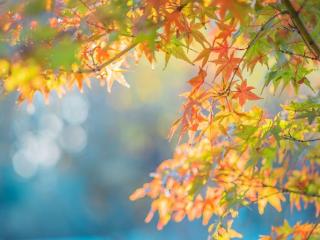 立秋养生：解锁千年“收润”智慧，让中医“治未病”融入每一天！