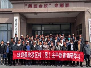 青岛莱西市：东西协作绘新篇 携手共进促发展