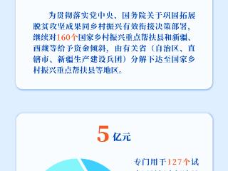 一图读懂|民政部2024年度彩票公益金使用情况
