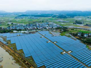 铅山县湖坊镇：党建引领激活村集体经济"强筋壮骨"新动能