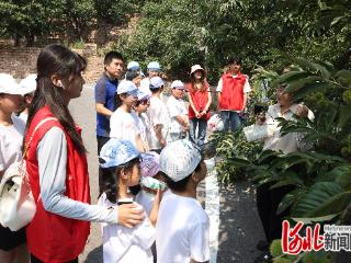 河北平乡：组织青少年学生赴“抗大”开展红色研学
