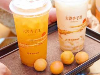 书亦烧仙草「大漠杏子红」系列震撼上市：当西域风情邂逅酸甜新体验