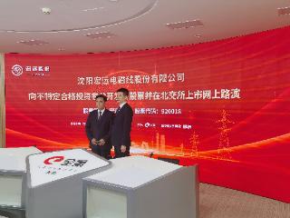 宏远股份IPO网上路演获关注，特高压与新能源双赛道开启发展新篇