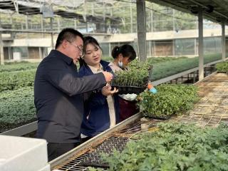 济南市市中区：现代金融活水奔涌 润泽产业发展沃土
