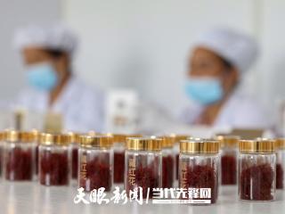 贵州西红花首次出口