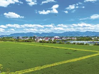 太热了 末伏首日 今天最高38-39℃ 杭州最高气温可能创今年新高