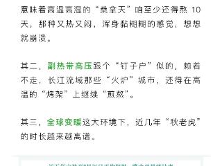 以为立秋就凉快了？秋老虎：我还能续航很久！