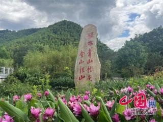 活力中国调研行丨浙江安吉喊话青年人：来了就有钱，来了就有房