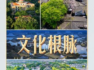 习言道丨古街拆还是留？习近平用一首诗回答