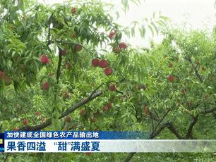 盛夏果香四溢，激活十堰“甜蜜经济”