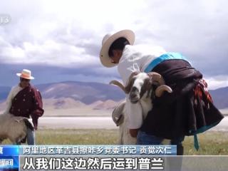 辉煌60载 魅力新西藏丨盐田致富路 古道换新颜