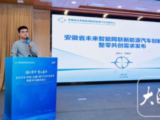 数字汽车先锋荟在合肥举办 “整零共创需求清单”发布