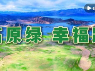辉煌60载·魅力新西藏｜高原绿 幸福路