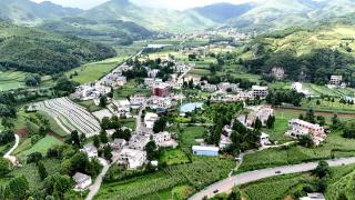 一个避暑季净赚上百万 三兄弟“靠山吃山”有门道(图1)