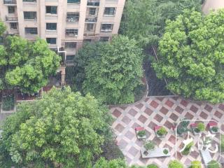 强降水继续 “撒泼” 安徽中部局地有大暴雨