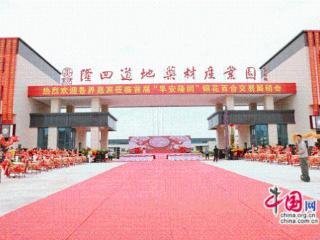 湖南隆回：道地药材产业园正式运营(组图)