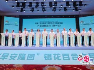 300余家企业代表齐聚隆回 共绘道地药材发展蓝图