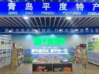 平度开启农业合作新征程——“平度优农”入驻中阿经贸合作示范园