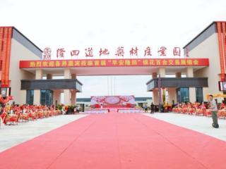 隆回以“中药材”为笔，绘就乡村振兴百亿图景