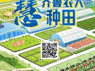 粮满仓·好丰光 | 丰收图鉴之齐鲁农人“慧”种田