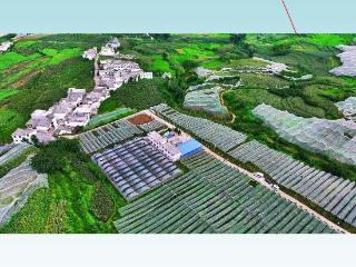【天眼视频】水城区举行2025猕猴桃田野发布会