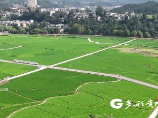休闲避暑好去处：在贵定音寨乐享夏日田园慢时光