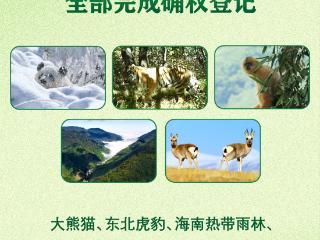 首批5个国家公园全部完成确权登记
