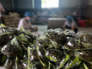 电商拓市场，热蒸汽变“底气”！小酸菜做成千万大产业