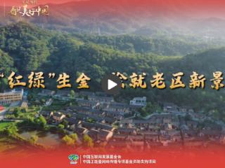 【牢记嘱托·看见美好中国】“红绿”生金 绘就老区新景