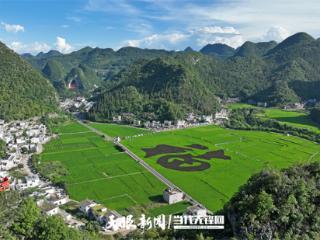 把夏天捧在手心，来兴义万峰林赴一场浪漫之约