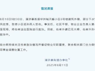 西安通报“水管高空坠落砸中婴儿车”：疑因大风吹落导致