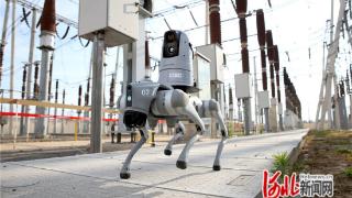 国网石家庄供电公司：科技赋能高温特巡