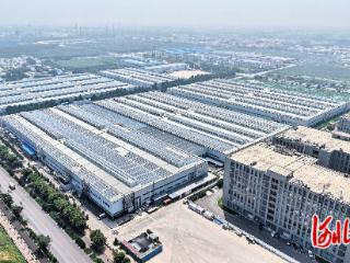 “创”出新活力 “闯”出新优势 石家庄以科技创新引领高质量发展观察