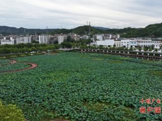 立秋送爽，太极湖新区成市民游客纳凉活力地