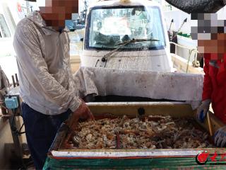 潍坊海警局寿光工作站严厉打击大马力快艇非法捕捞行为