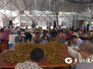 刺梨“炼”果脯：贵定工厂日耗鲜果3万斤，带动百余人“家门口”就业