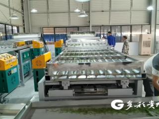 惠水：东西部协作跨山海科技赋能种出“富硒茶”