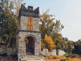 菏泽乡村旅游：回归自然，远离喧嚣，邂逅诗意与烟火