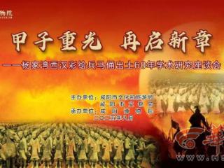 杨家湾西汉彩绘兵马俑出土60年学术研究座谈会在咸阳召开