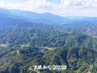 江口县国有林场：从“木材仓库”到“生态宝库”的绿色升级