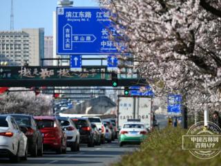 用“民生温度”标注“文明高度” 擘画城市文明新图景