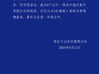 西安警方再通报“宝妈带娃遛弯遭多人打配合偷手机”：作案团伙全部被抓