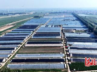 邢台市：“设施升级+标准引领”，特色种植产业向上向新