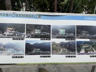 拆除违建 复绿山体：佛慧山北入口生态回归