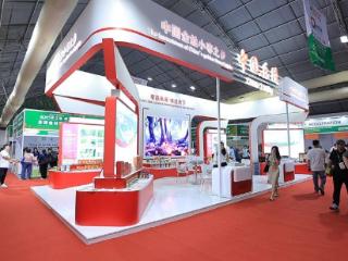 乐陵枣博会味博会首次办到国外，30家企业“抱团”出海