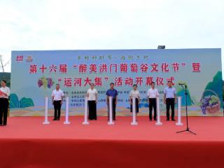 乡村好时节·第十六届“醉美洪门葡萄谷文化节”开幕