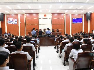 海南陵水县人民法院:法治护航高质量发展 司法为民书写新篇章